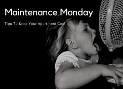 Keep Cool in Your Camden Tips To Keep Your Apartment Cool