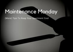 Keep Cool in Your Camden Tips To Keep Your Apartment Cool