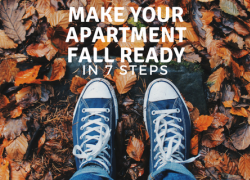 Make Your Apartment Fall Ready in 7 Steps Make Your Apartment Fall Ready in 7 Steps