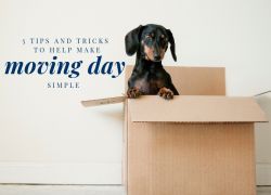 5 Tips and Tricks to Help Make Moving Day Simple 5 Tips and Tricks to Help Make Moving Day Simple