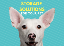 Storage Solutions for Your Pet storage-solutions-pet