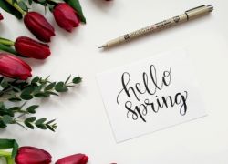 Spring Clean Your Closet
