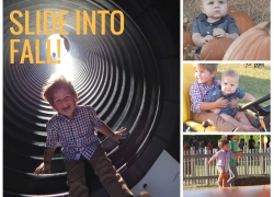 Fall fun! Slide into Fall austin texas pumpkin patch apartments