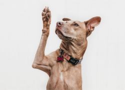 Questions to Ask Before Signing a Lease Questions to Ask Before Signing a Lease