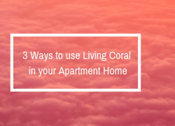 3 Ways to use Living Coral in your Apartment Home 3 Ways to use Living Coral in your Apartment Home