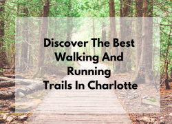 Discover the Best Walking and Running Trails in Charlotte