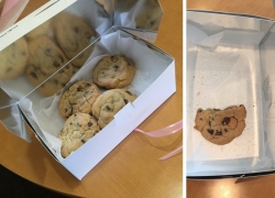 Tiffs Treats Cookie Delivery Tiffs Treats Cookie Delivery