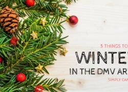 5 Things to do Winter in the DMV area things to do winter in the dmv area