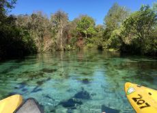 Kayak at Weeki Wachee Springs Kayak at Weeki Wachee Springs