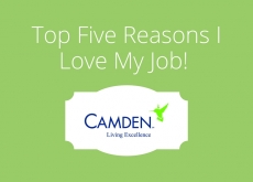 Top 5 Reasons I Love My Job! Top 5 Reasons I Love My Job!