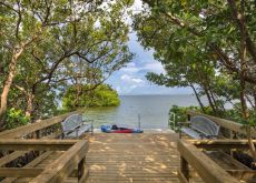 camden-preserve-tampa-bay-dock-water