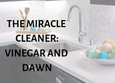 The Miracle Cleaner: Vinegar and Dawn cleaning-home-bathroom-kitchen-vinegar-dawn