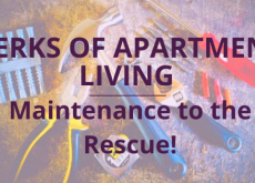 Parks of Living in an Apartment: Maintenance to the Rescue!
