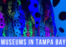3 Must See Museums in Tampa Bay 3 Must See Museums in Tampa Bay