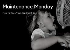 Keep Cool in Your Camden Tips To Keep Your Apartment Cool
