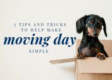 5 Tips and Tricks to Help Make Moving Day Simple 5 Tips and Tricks to Help Make Moving Day Simple