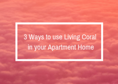 3 Ways to use Living Coral in your Apartment Home 3 Ways to use Living Coral in your Apartment Home