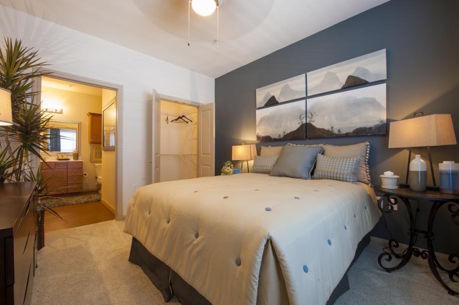 3 Bedroom Apartments In Austin Tx | 1 2 3 bedroom apartments in austin tx camden amber 3 Bedroom Apartments In Austin Tx | 1 2 3 bedroom apartments in austin tx camden amber