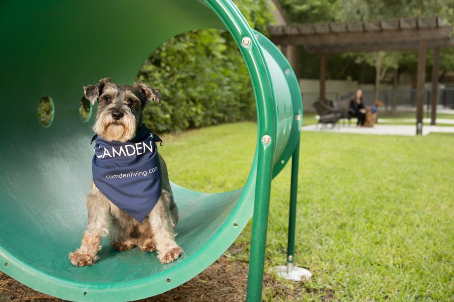 Pet Friendly Living with Private Dog Park at Camden Post Oak High Rise Luxury Apartments in Houston Galleria, Texas