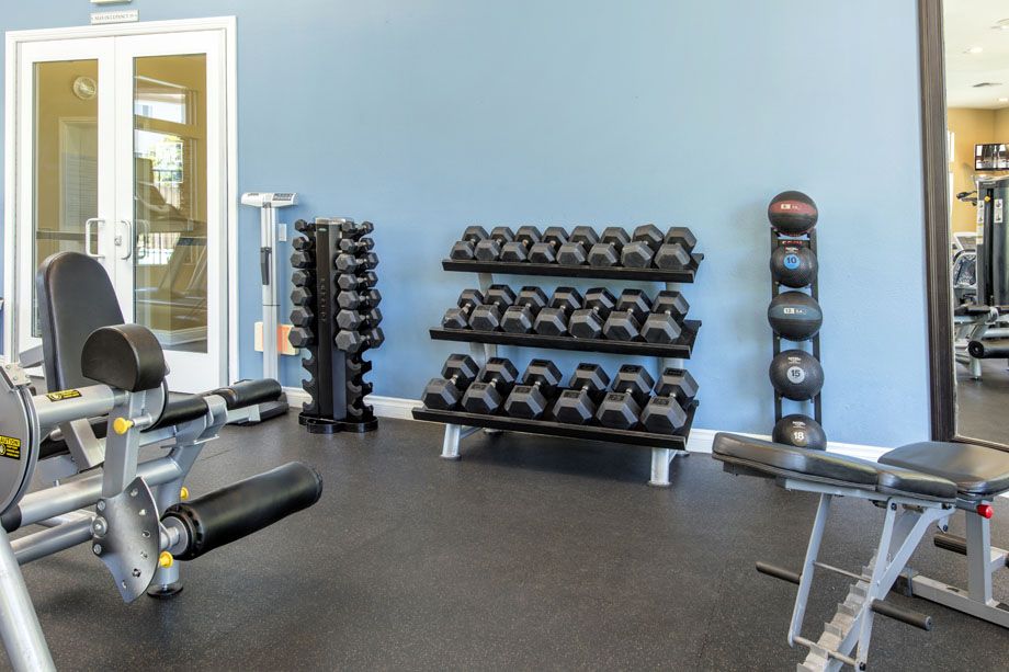 Fitness Center with free weights at Camden Sierra at Otay Ranch apartments in Chula Vista, CA