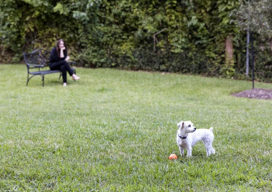 Dog park at Camden Belmont apartments in Dallas, TX