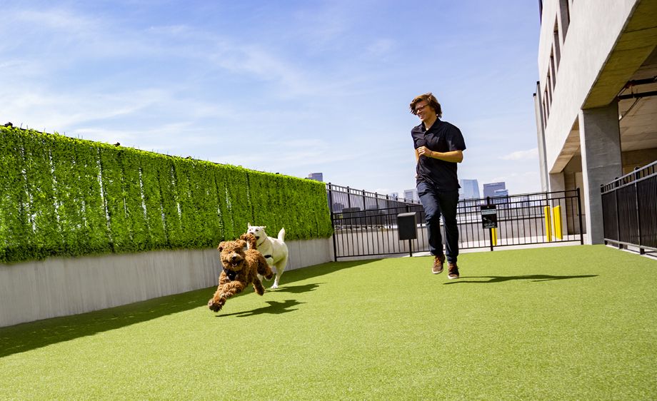 Camden RiNo apartments in Denver, Colorado live work dog park