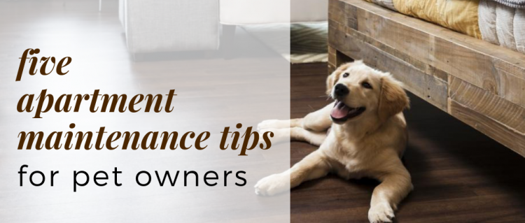 5 Apartment Maintenance Tips for Pet Owners 5 Apartment Maintenance Tips for Pet Owners