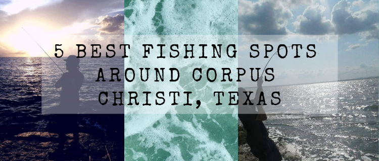 5 Best Fishing Spots Around Corpus Christi, Texas Fishing at the Packery Channnel