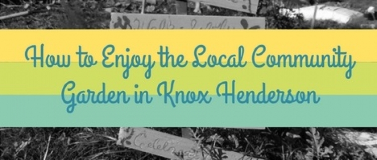 Local Community Garden in Knox/Henderson Local Community Garden in Knox/Henderson
