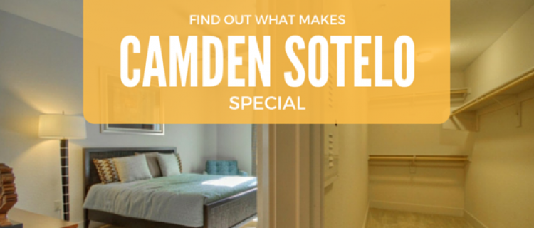Find Out What Makes Camden Sotelo Special Find Out What Makes Camden Sotelo Special