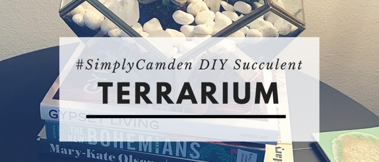 Succulent Terrarium inside my Camden apartment home DIY Succulent Terrarium project for your apartment home