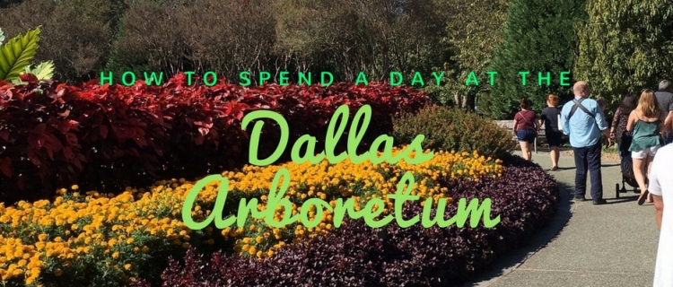 Dallas Arboretum Arboretum