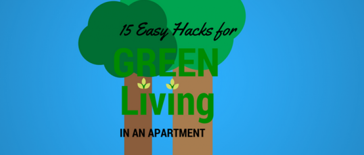 Read these tips to learn how to save energy in your apartment 15 Tips to Save Energy in Your Apartment Now