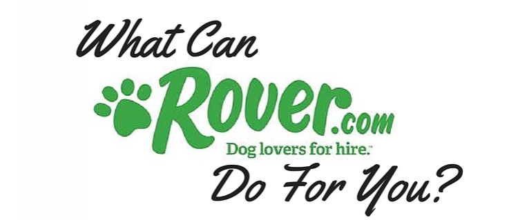 What Can Rover.com do for you?
