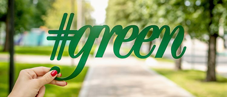 5 Tips to Live a More Sustainable Lifestyle
