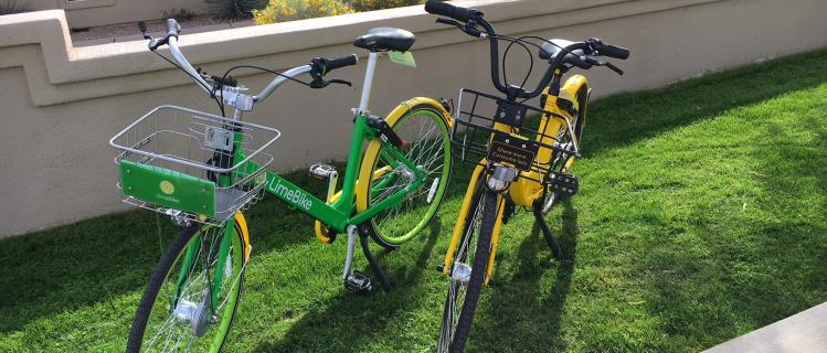 Ofo and Lime Bikes Bike Rentals