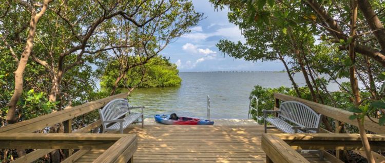 camden-preserve-tampa-bay-dock-water
