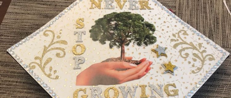 Graduation Cap graducationcap