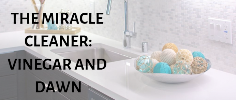 The Miracle Cleaner: Vinegar and Dawn cleaning-home-bathroom-kitchen-vinegar-dawn