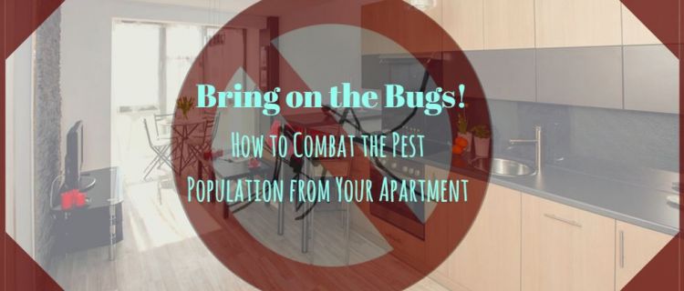Bring on the Bugs: How to Combat the Pest Population from Your Apartment Bring on the Bugs: How to Combat the Pest Population from Your Apartment