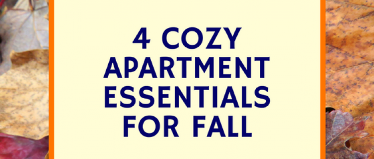 Four Cozy Apartment Essentials For Fall Four Easy Ways to Make Your Apartment Cozy For Fall