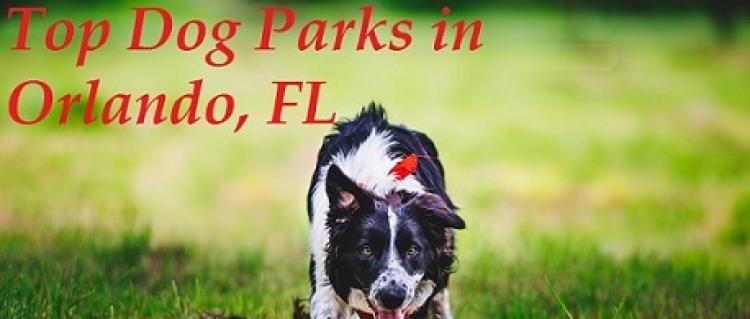 Top Dog Parks in Orlando, FL Top Dog Parks in Orlando, Florida