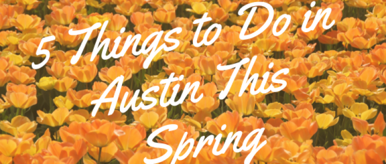 5 Things to Do in Austin This Spring 5 Things to Do in Austin This Spring