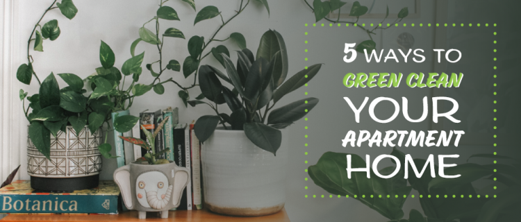 5 Ways to Green Clean Your Apartment Home