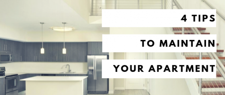 4 Tips to Maintain Your Apartment 4 Tips to Maintain Your Apartment