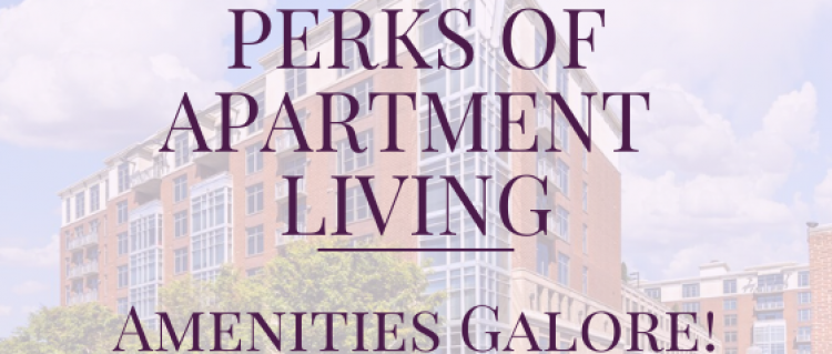 Perks of Apartment Living: Amenities Galore