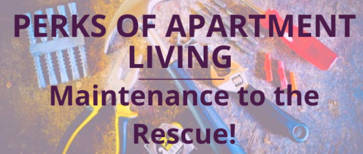Parks of Living in an Apartment: Maintenance to the Rescue!