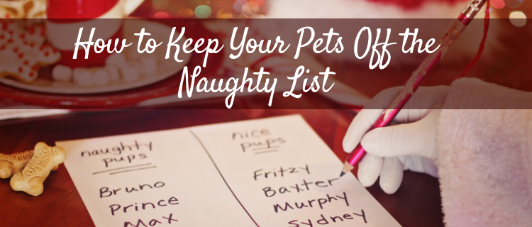 How To Keep Your Pets Off The Naughty List How To Keep Your Pets Off The Naughty List