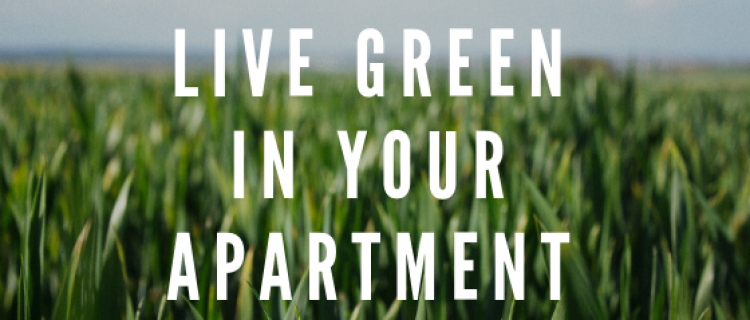 How to Live Green in Your Apartment Home Live Green in Your Apartment Home