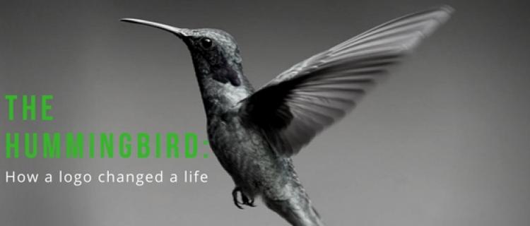 The Hummingbird: How a Logo Changed a Life The Hummingbird: How a Logo Changed a Life